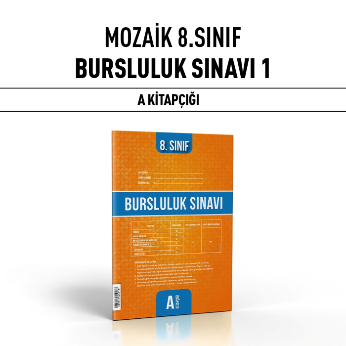 MOZAİK 08.SINIF BURSLULUK SNV 1-A - 24-25